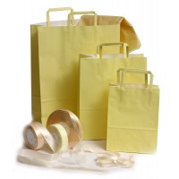 שקיות נשיאה מנייר - ידית שטוחה - מוזלות !!